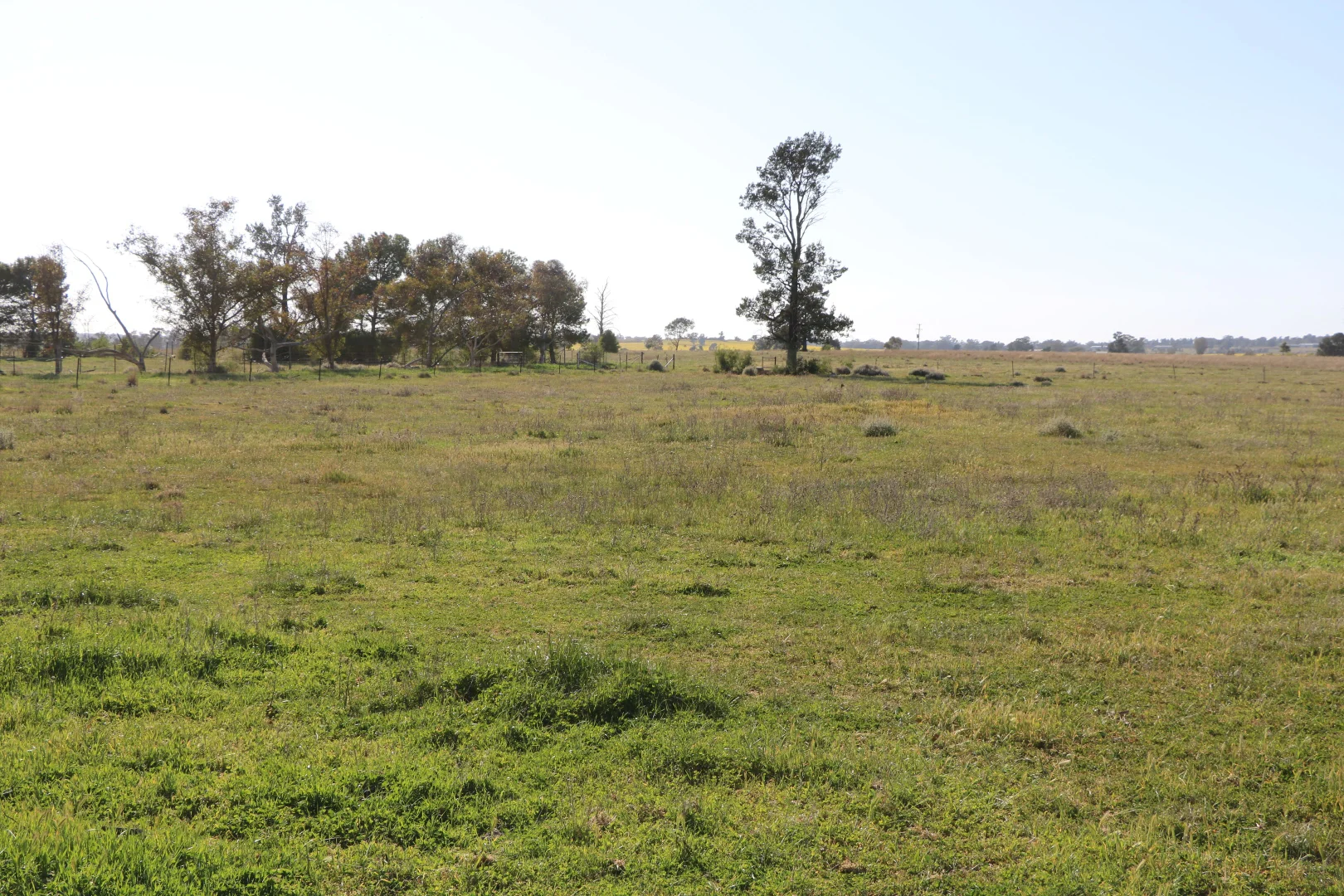 Additional image 16 of 696 Back Trundle Road, Parkes NSW 2870