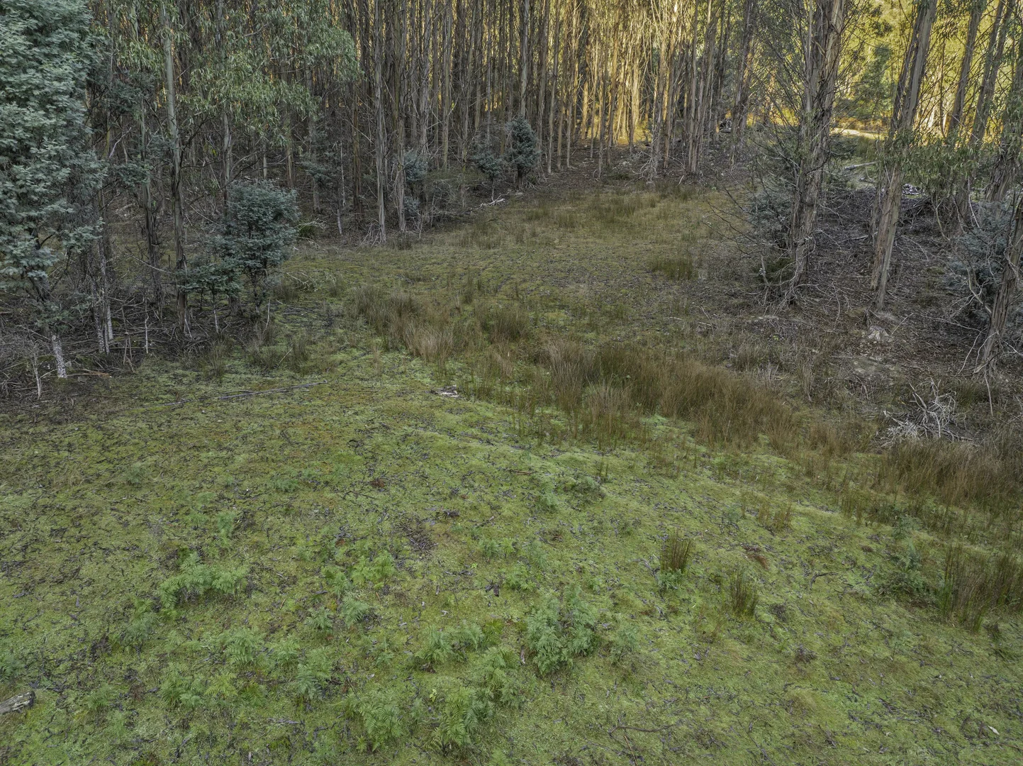 Additional image 15 of Judbury TAS 7109