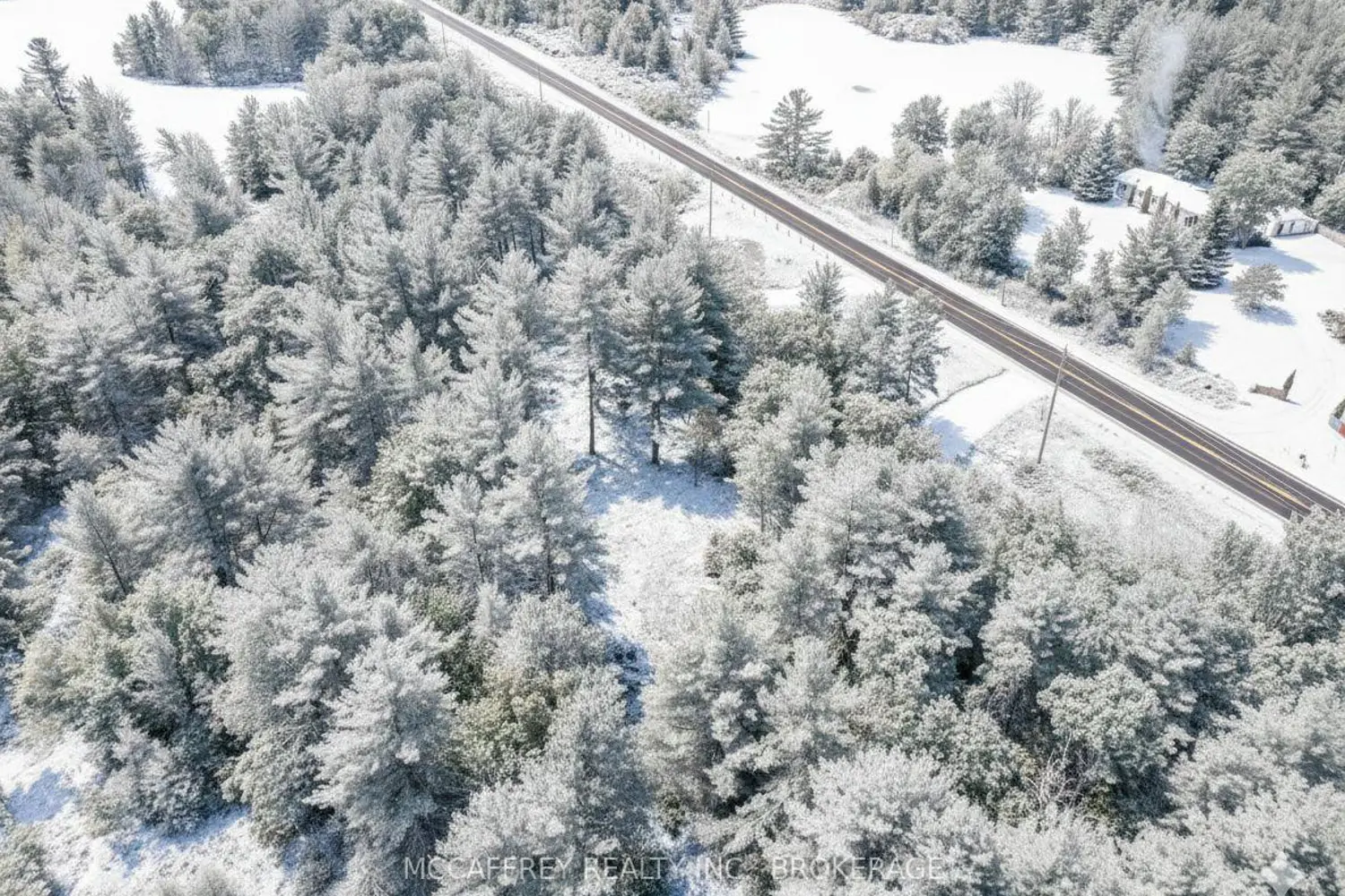 9804 Highway 38