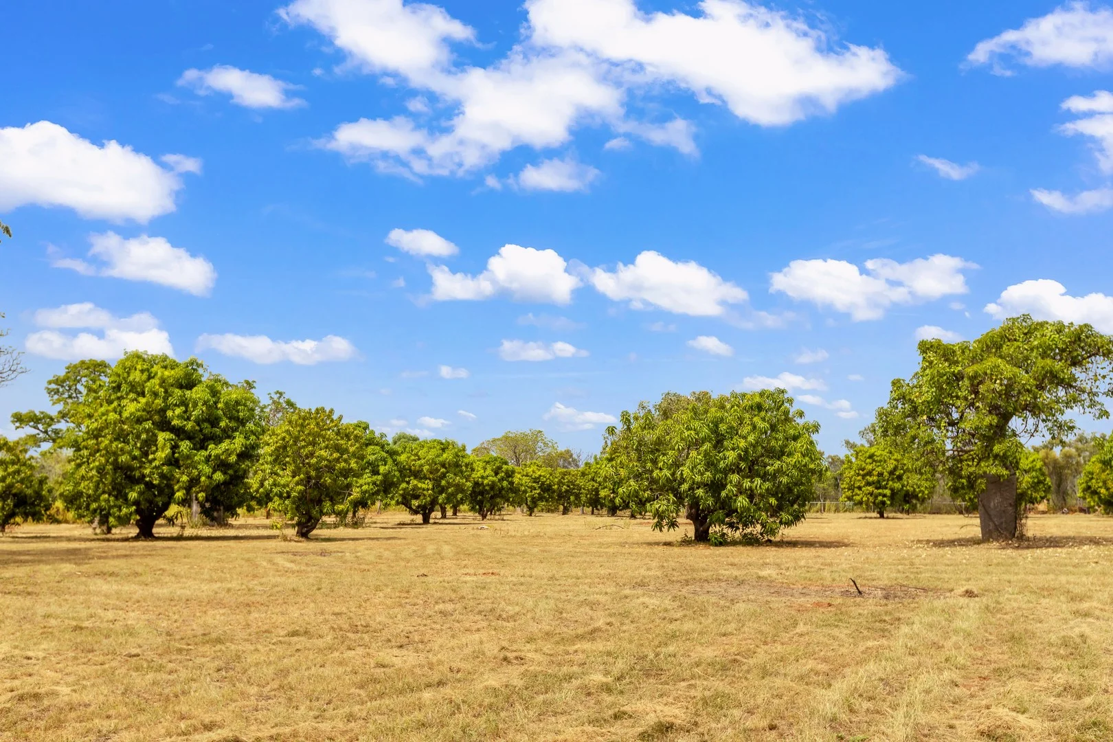 Additional image 14 of 9 Wright Street, Derby WA 6728