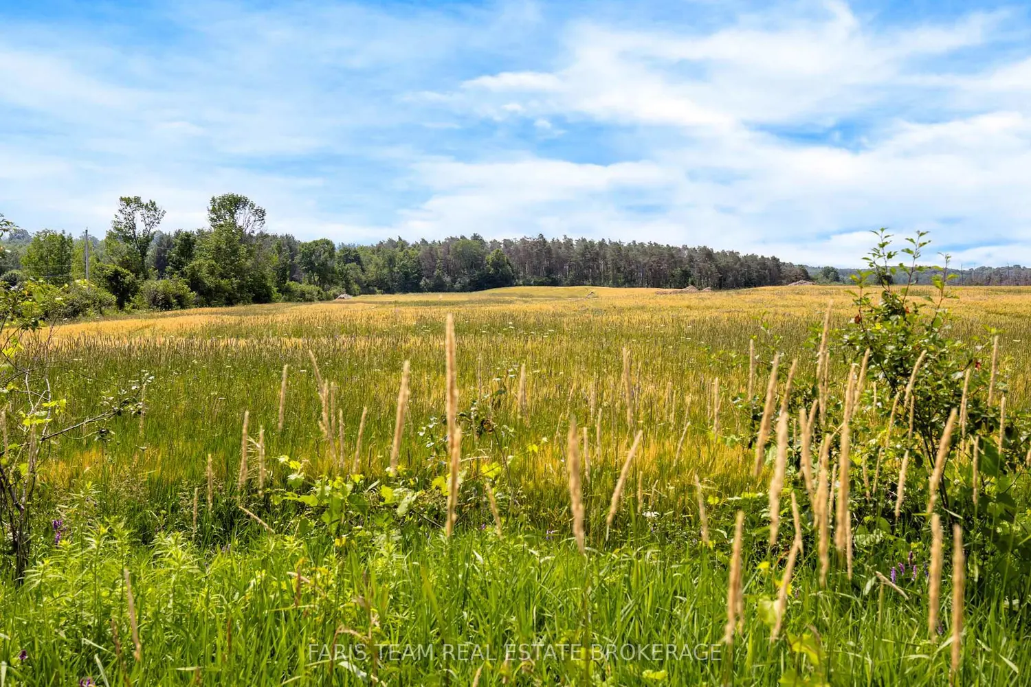 Additional image 4 of 1511 Tay Point Road