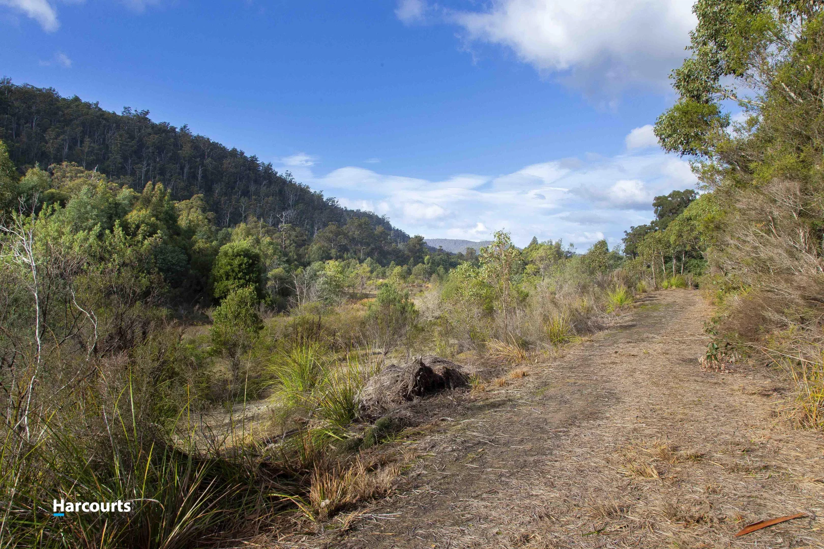 Additional image 5 of 623 Denison Road, Lonnavale TAS 7109