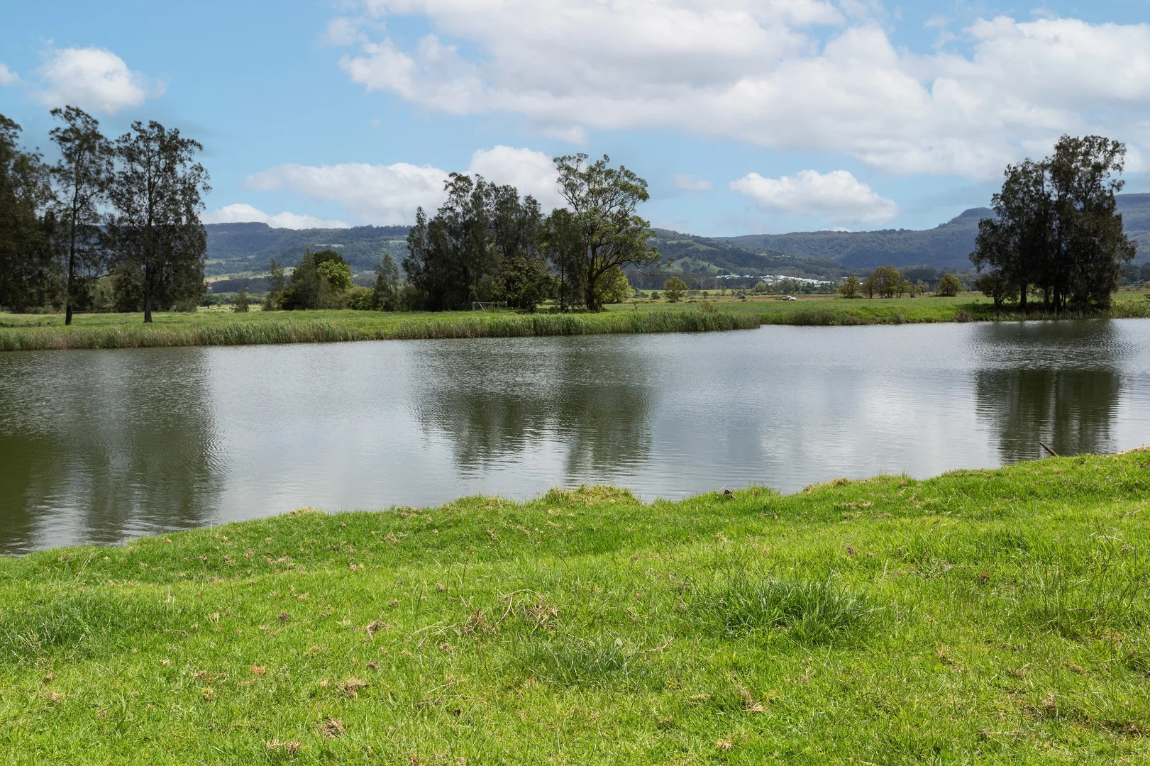 Additional image 16 of 639E coolangatta road, Berry NSW 2535
