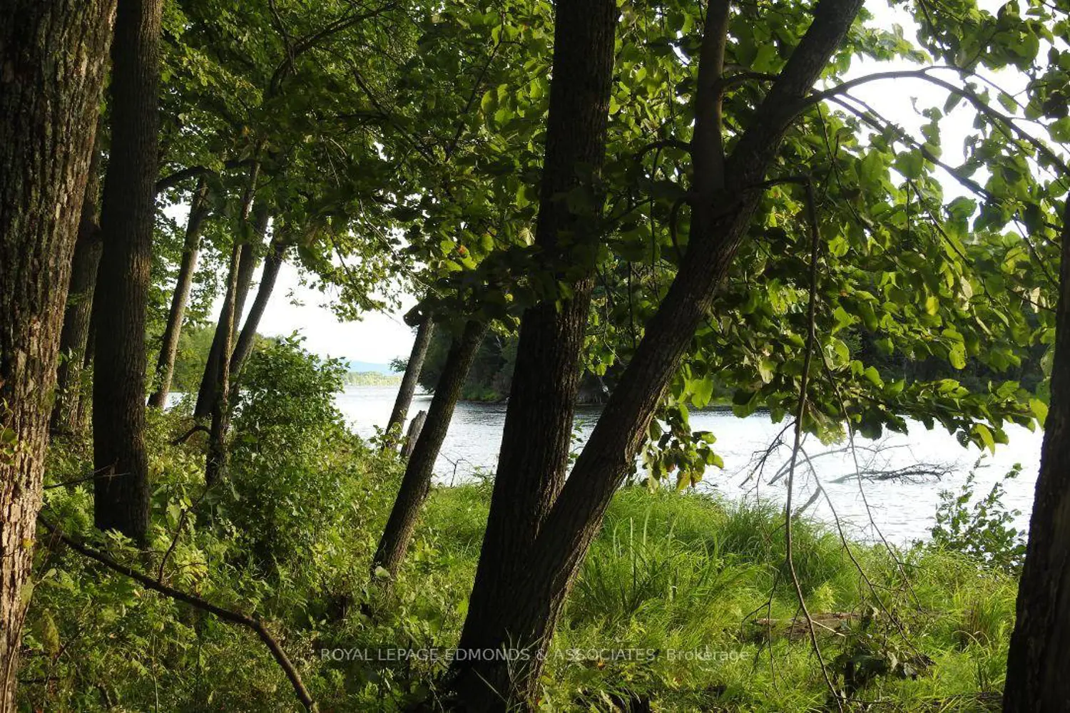 Additional image 14 of 0 Butternut Island