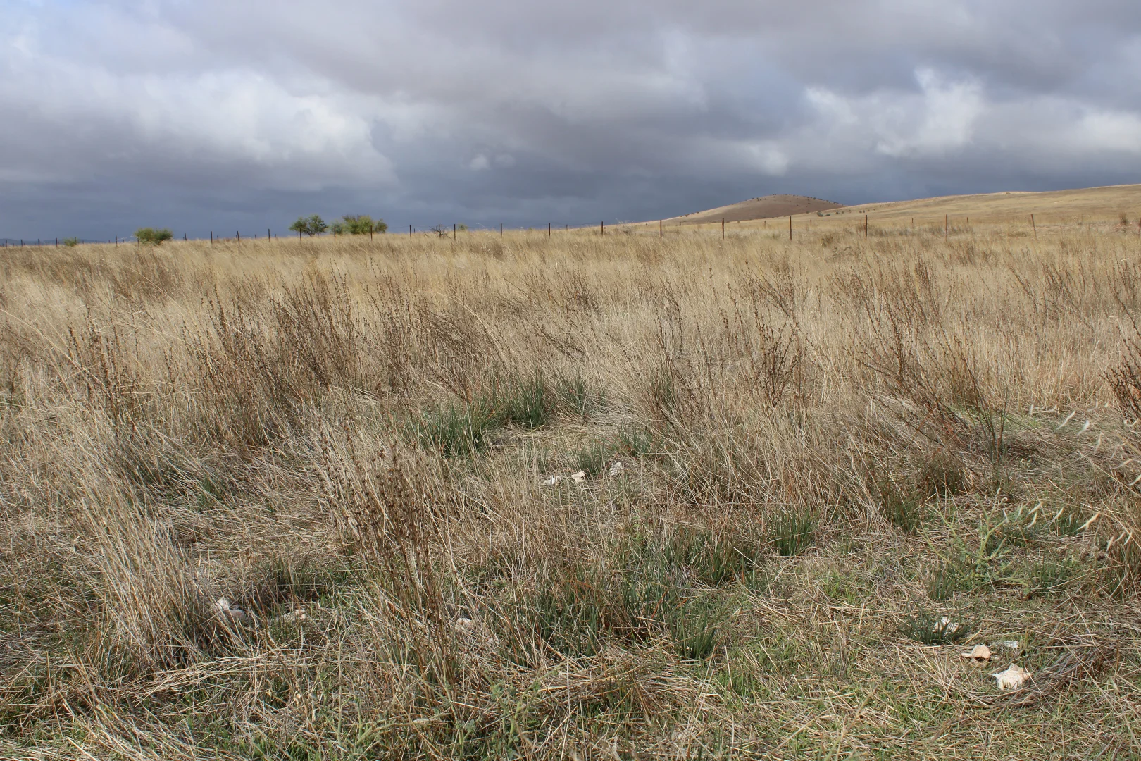 Additional image 44 of 1860 Cleary Road, Terowie SA 5421