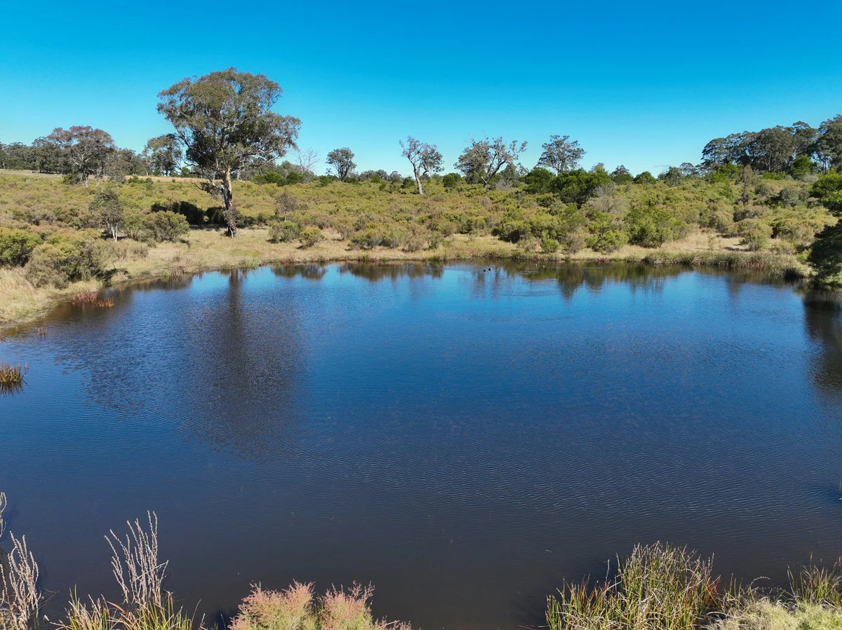 Additional image 5 of Puglisi Road, Dalveen QLD 4374