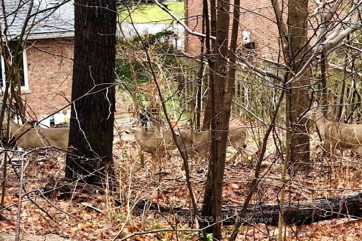 Additional image 13 of 350 Sarnia Road