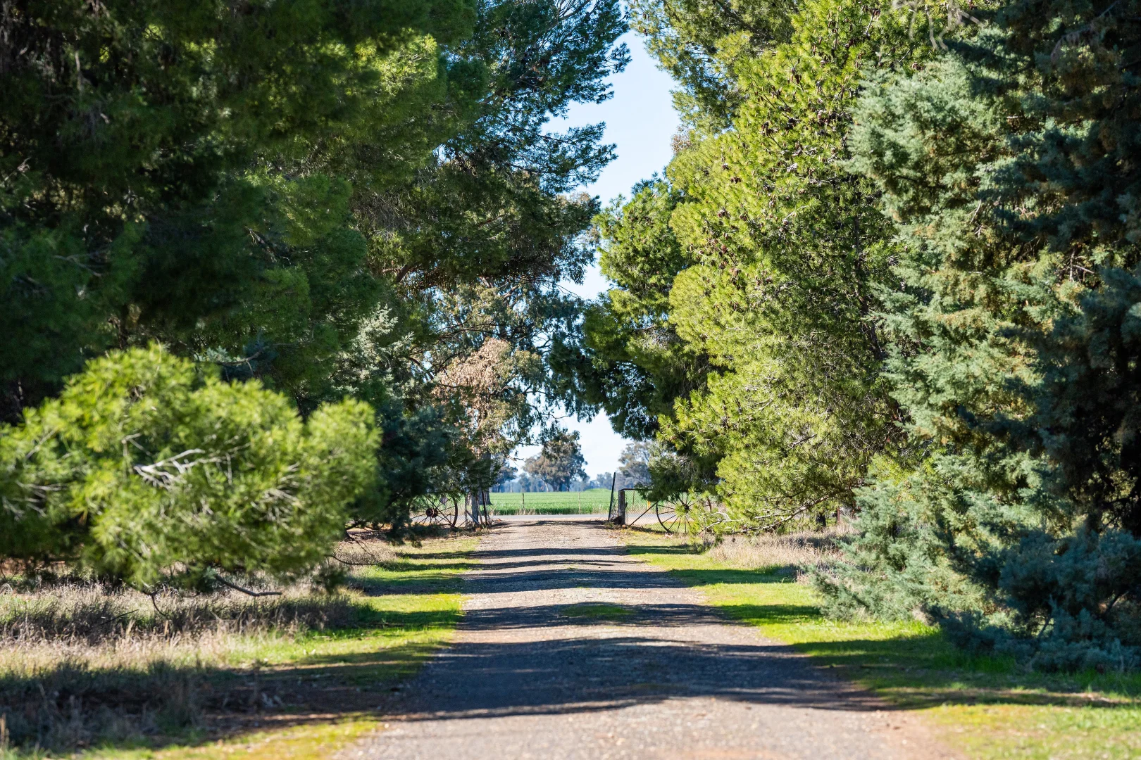 Additional image 15 of 119 Oak Lodge Rd, Sanger NSW 2646