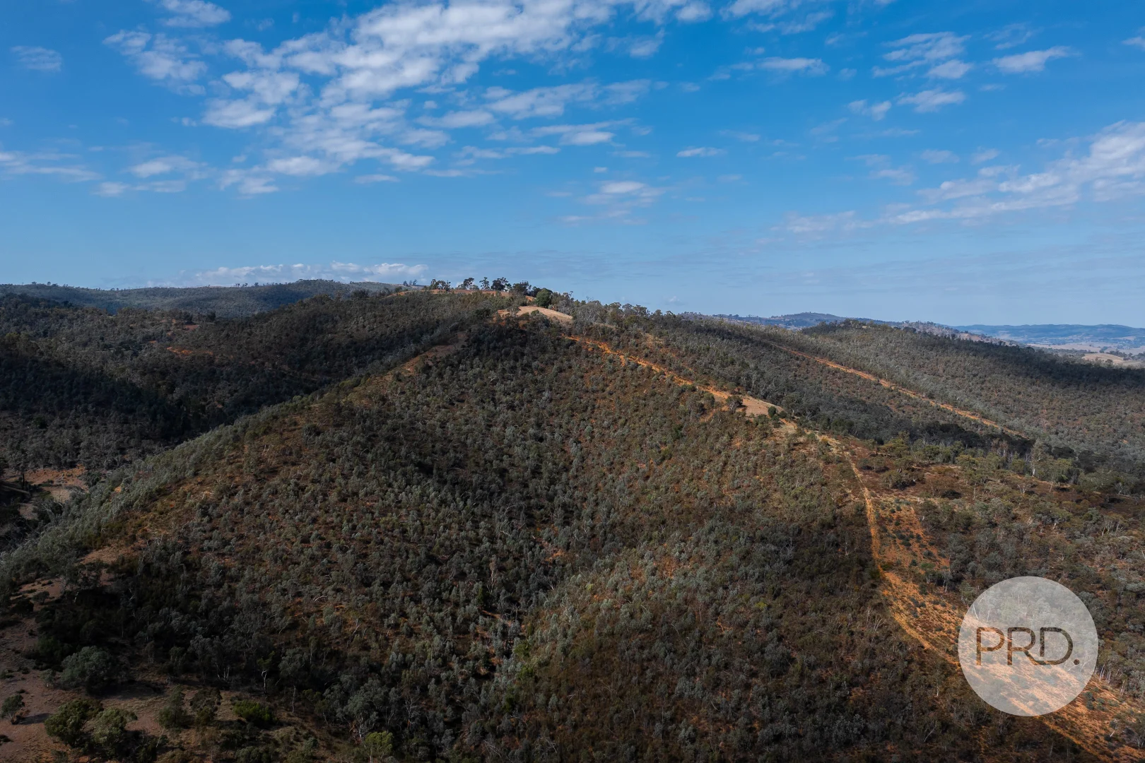 Additional image 34 of 294 Stewarts Road, Oberne Creek NSW 2650