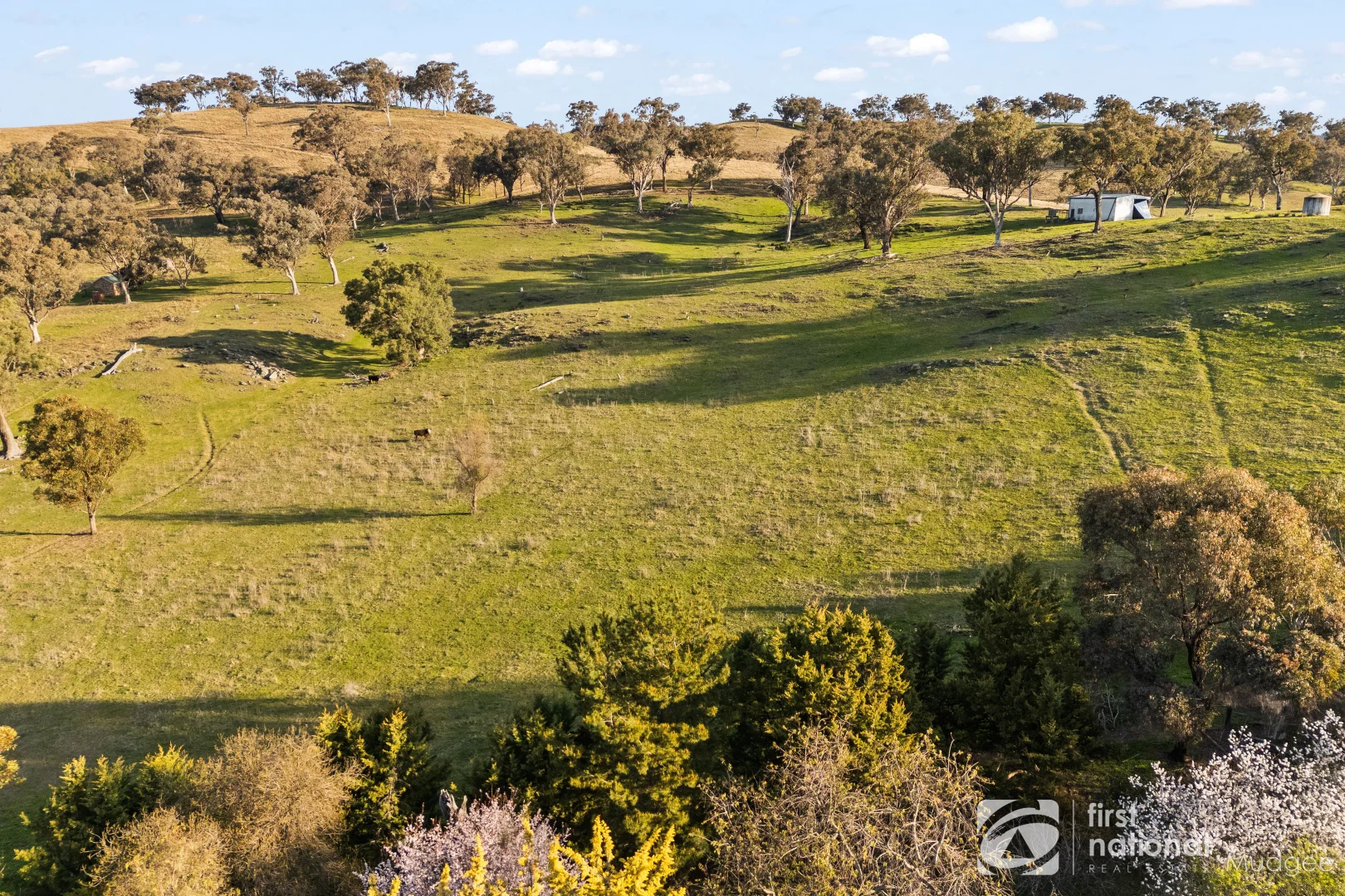 Additional image 20 of 2654 "Moonshine", Lue Road, Lue, Mudgee NSW 2850