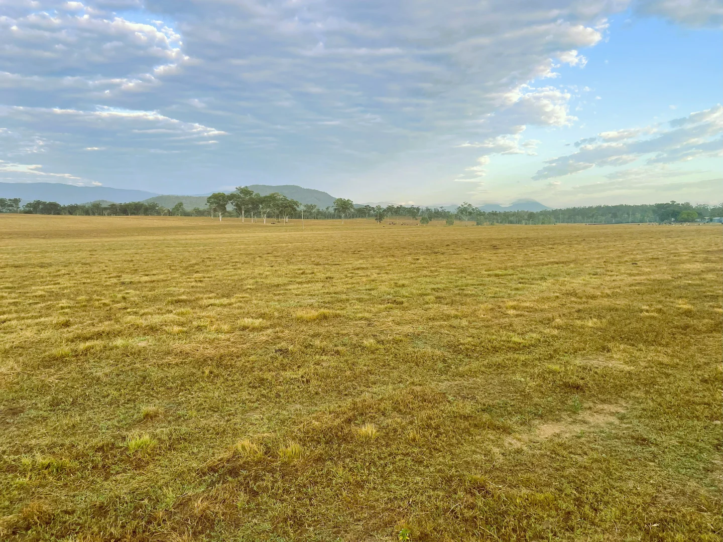 Additional image 19 of 145 Midge Point Rd, Bloomsbury QLD 4799