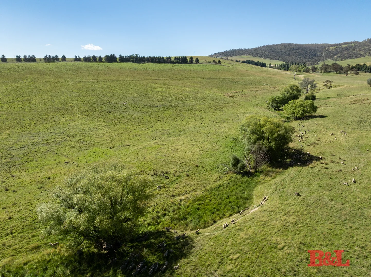 Additional image 14 of Lot 2 & 252 976 Sodwalls Road, Tarana NSW 2787