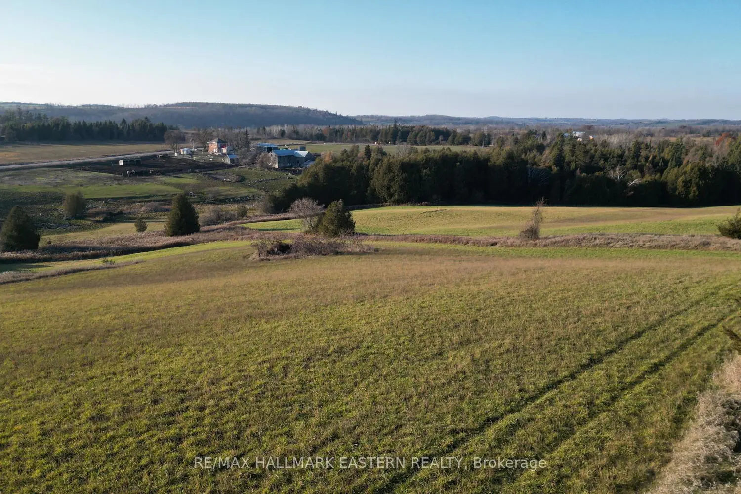 Additional image 20 of 461 Concession 11