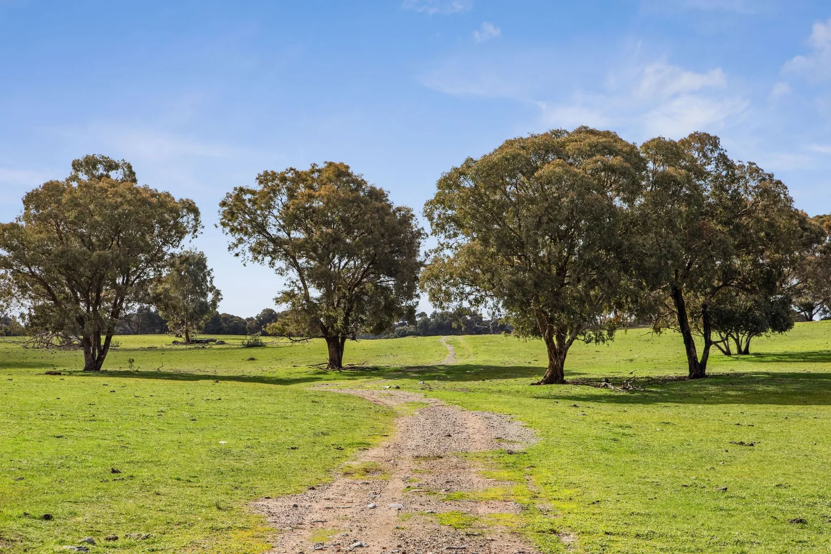 Additional image 3 of Lot 18C Clays Road, Bagshot North VIC 3551