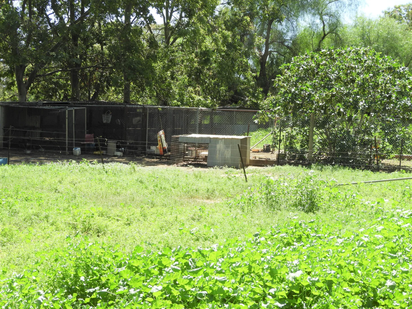 Additional image 8 of 45 Hilton Lane, Warren NSW 2824