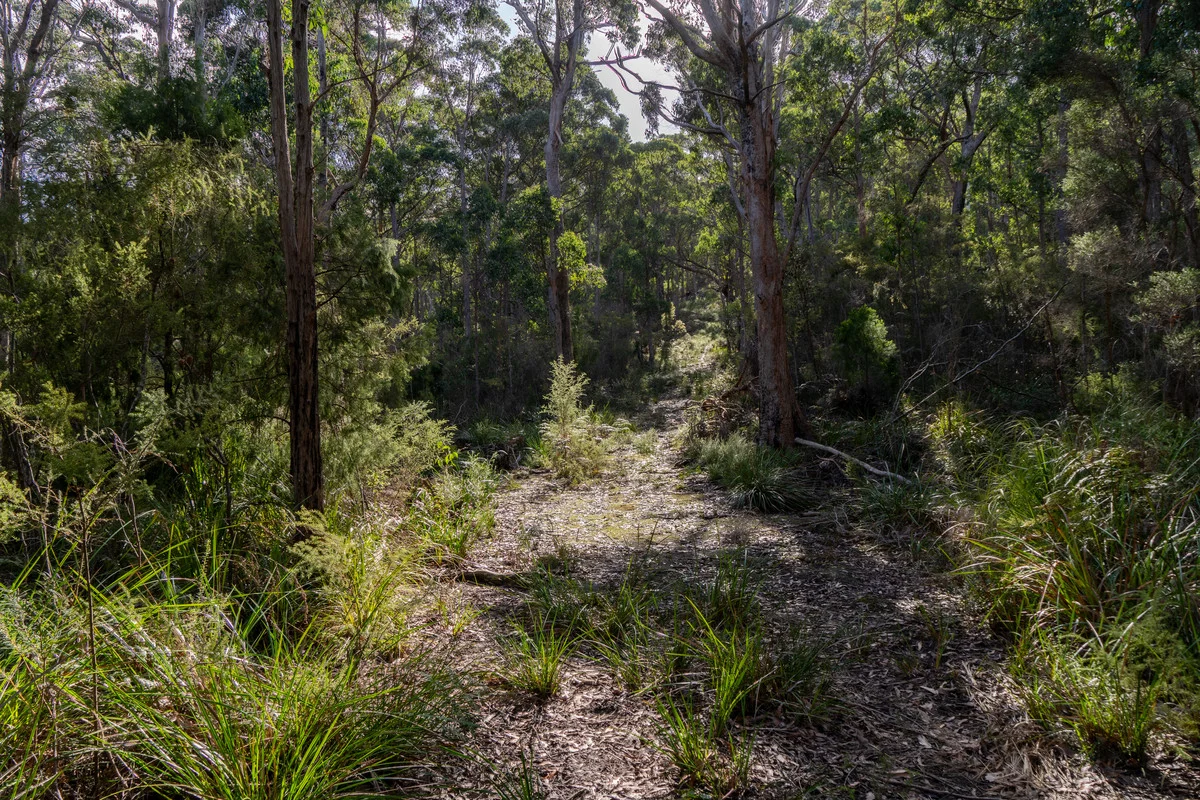Additional image 12 of Lot 3 White Beach Road, White Beach TAS 7184