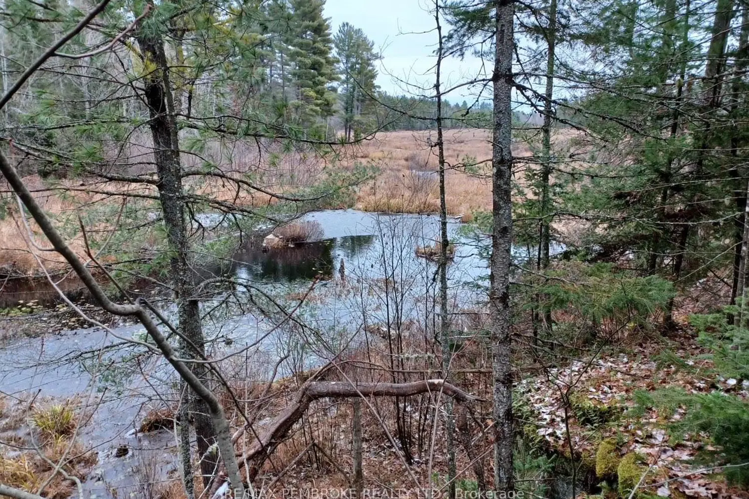 Additional image 8 of 1678 Locksley Road