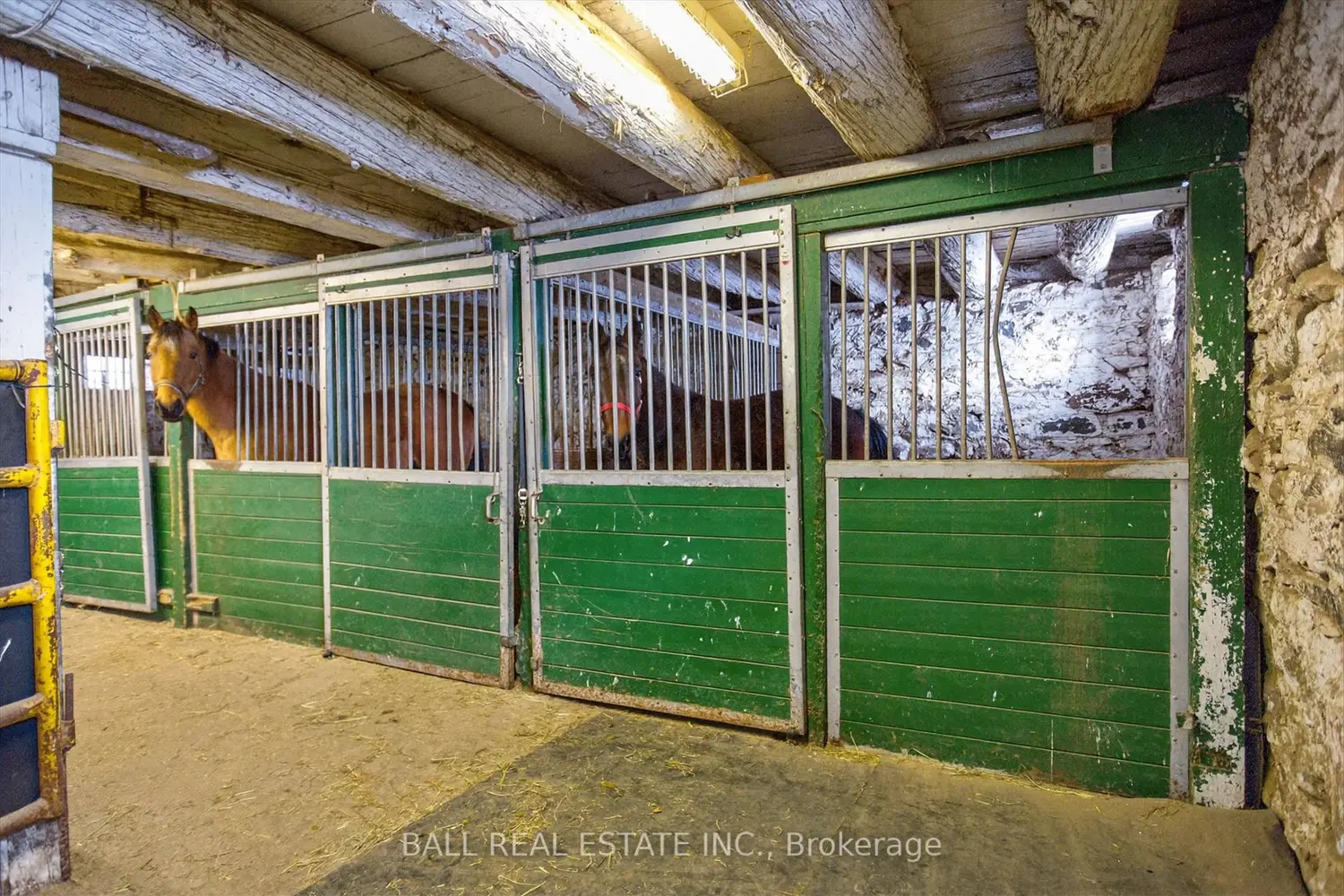 Additional image 14 of 1132 Tara Road