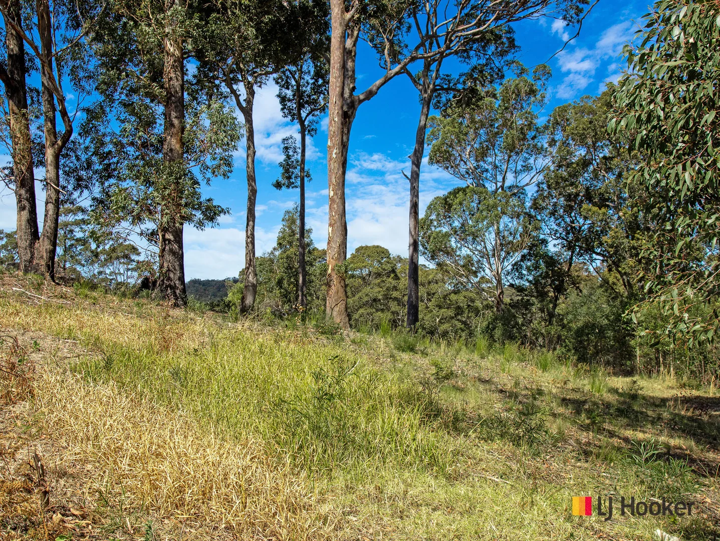 Additional image 7 of 25 Timber Way, Surf Beach NSW 2536
