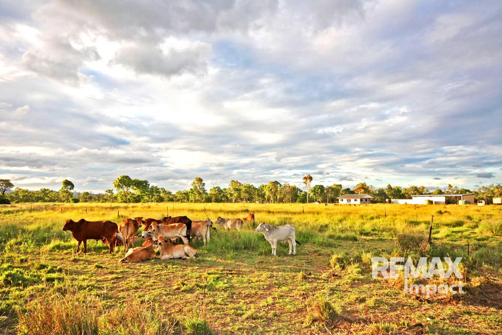 Additional image 18 of 592 Leadingham Creek Road, Dimbulah QLD 4872