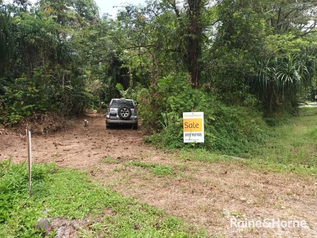 Additional image 11 of Lot 81 Cape Tribulation Road, DIWAN,, Daintree QLD 4873