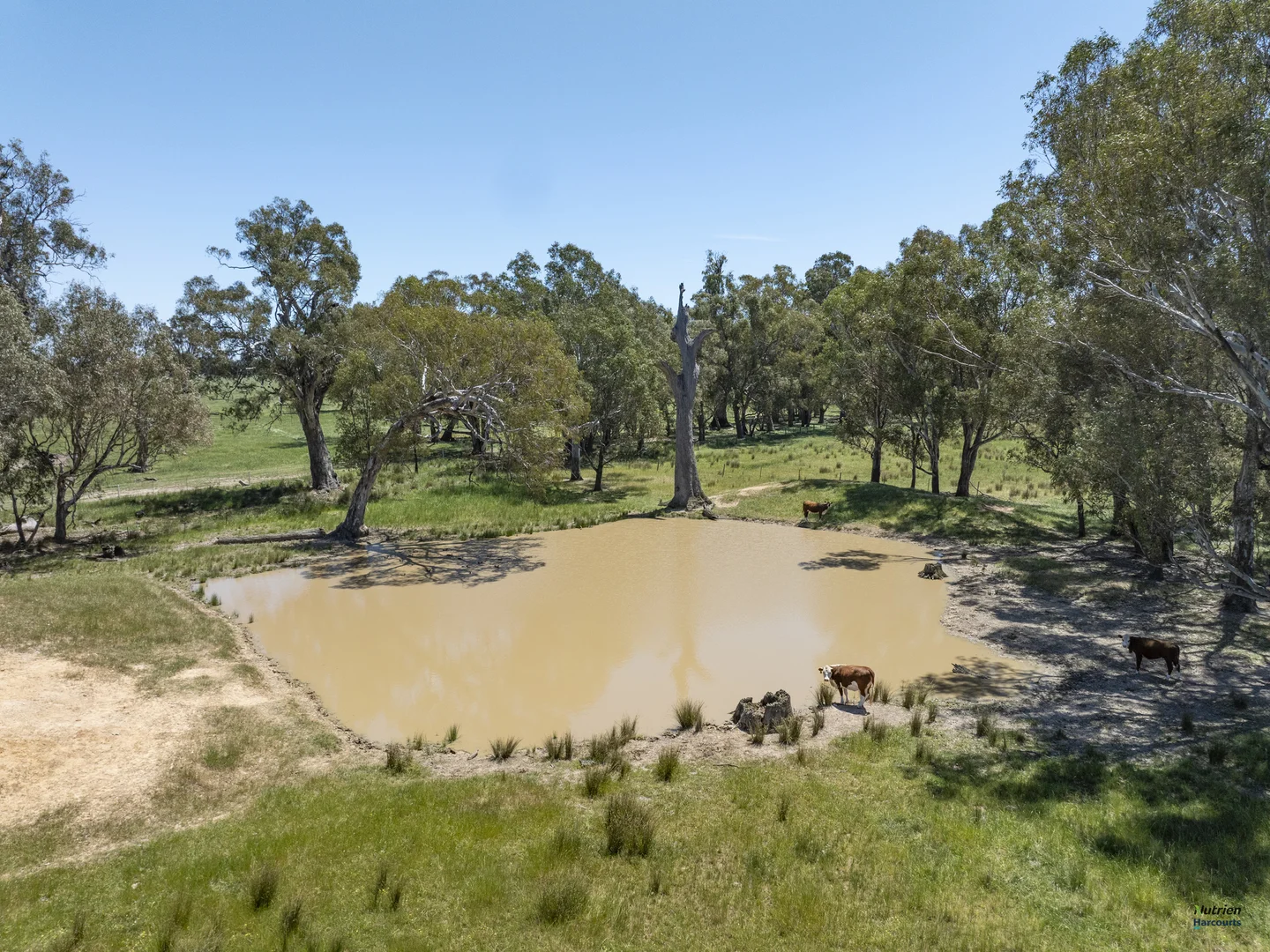 Additional image 13 of 12 Knight Road, Benalla VIC 3672