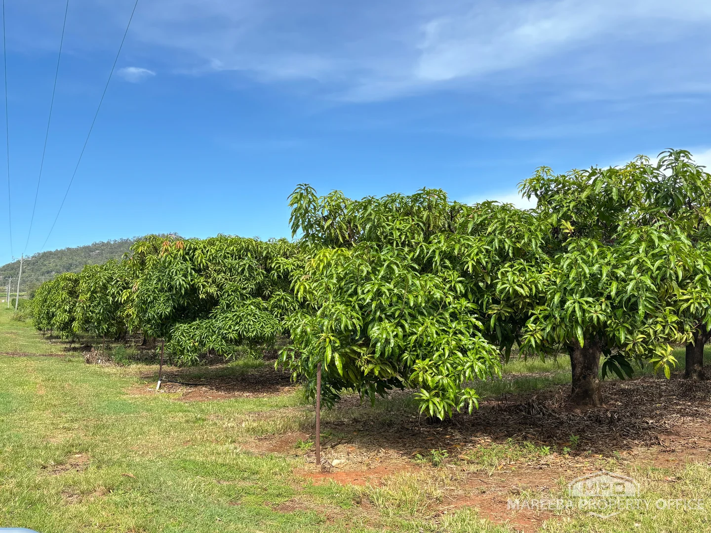 Additional image 9 of 446 Chewko Road, Mareeba QLD 4880
