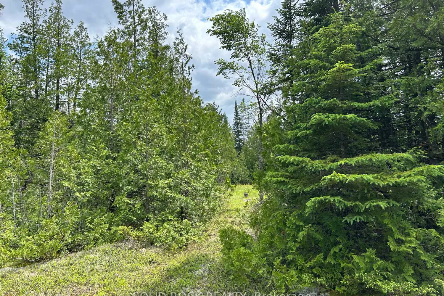 0 Mast Road photo 5