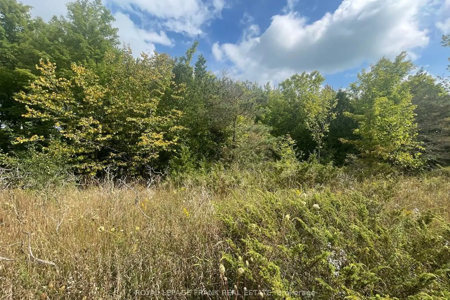Additional image 10 of 00 Adams-Cummings Road