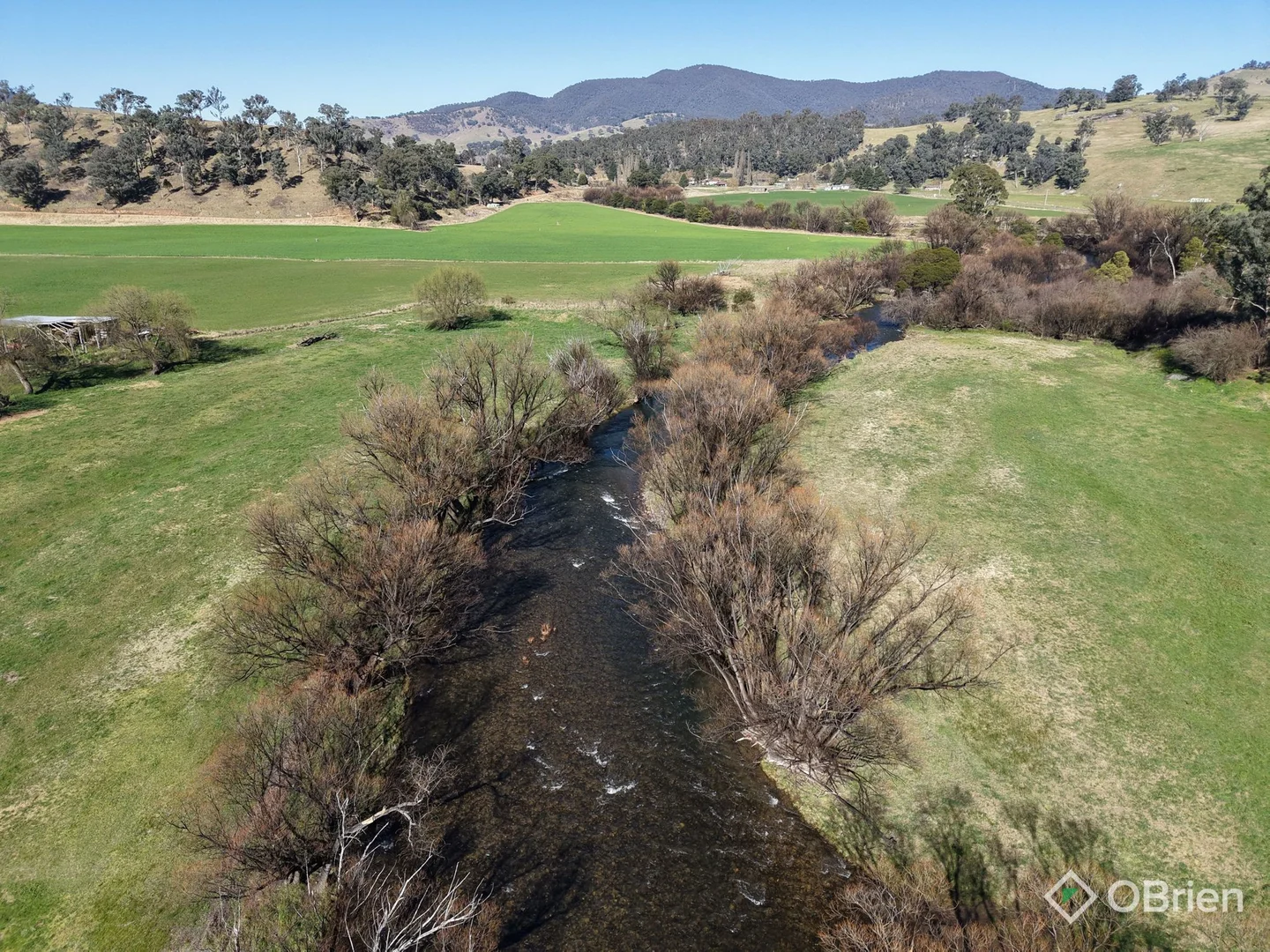 Additional image 8 of 114 Dargo High Plains Road, Dargo VIC 3862