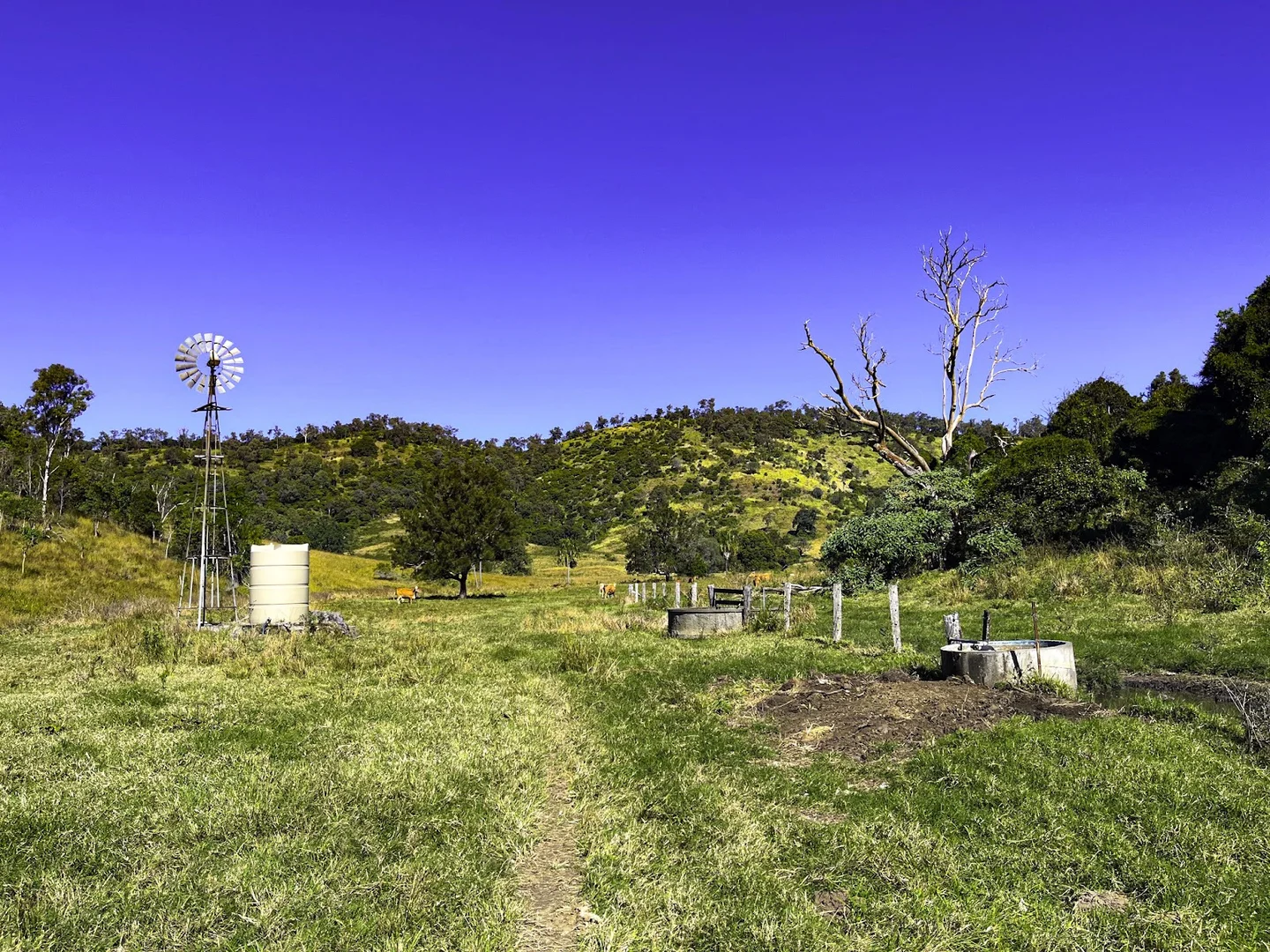 Additional image 15 of 2549 Gympie Woolooga Road, Widgee QLD 4570