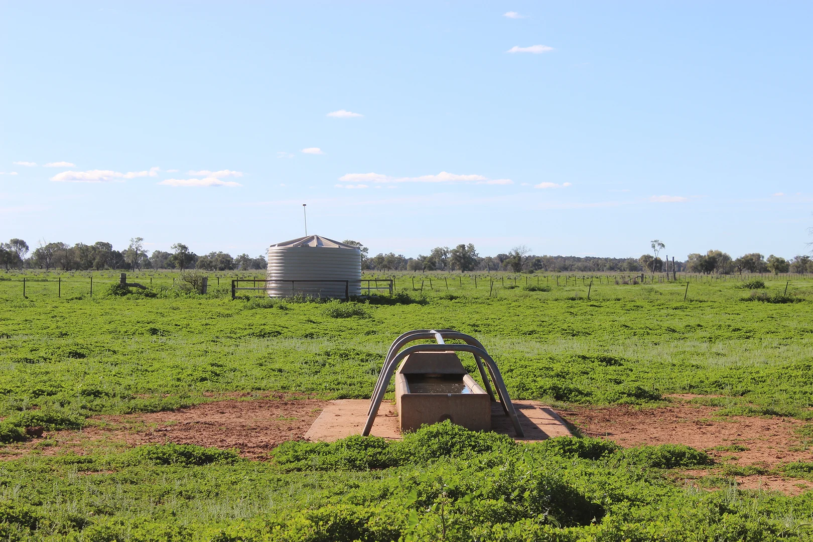 Additional image 15 of 1378 Keewong Lane, Coonamble NSW 2829