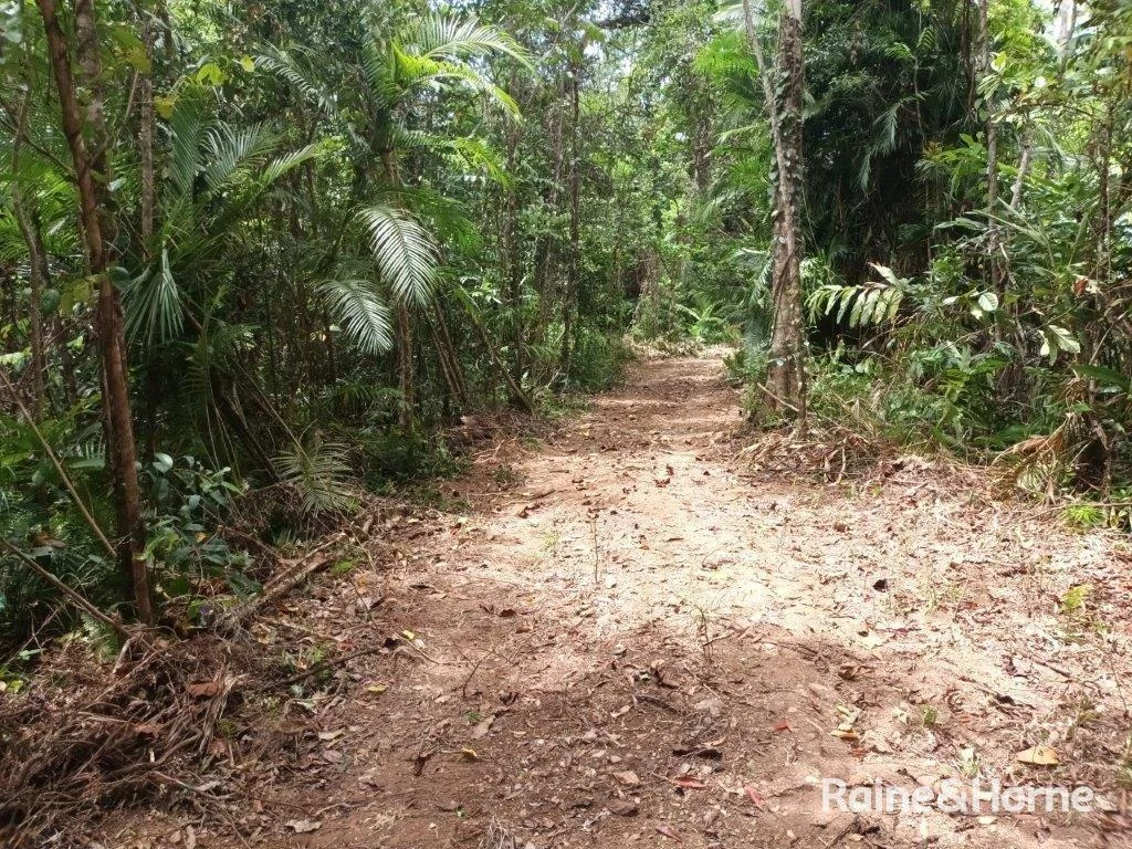 Additional image 9 of Lot 81 Cape Tribulation Road, DIWAN,, Daintree QLD 4873