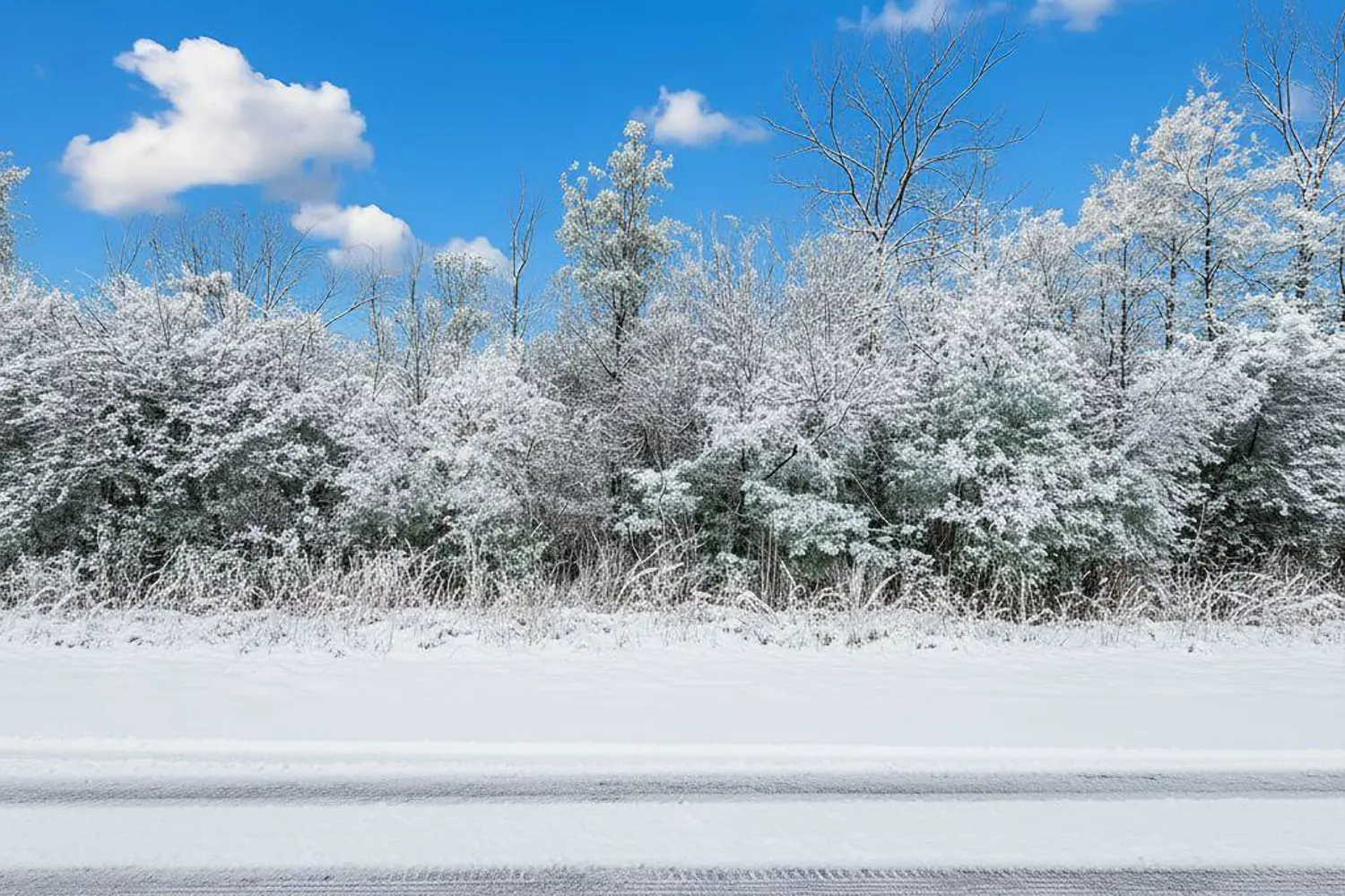 Lot 15 Martin Drive