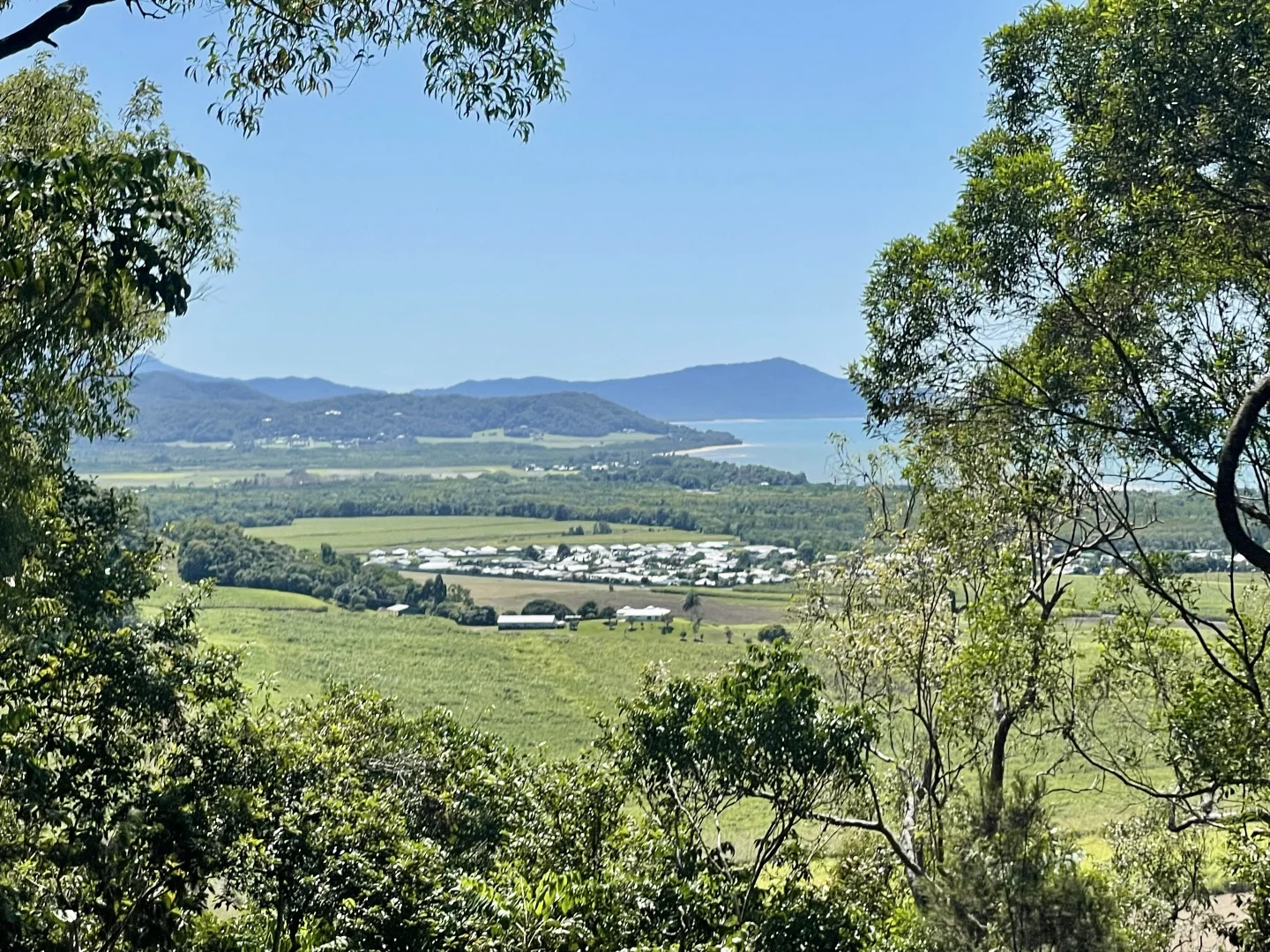 Additional image 42 of 93 Santarossa Road, Cooya Beach QLD 4873