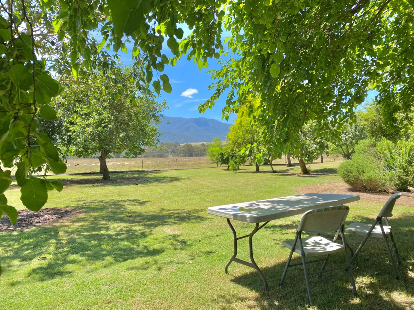 Additional image 13 of Mount Beauty VIC 3699