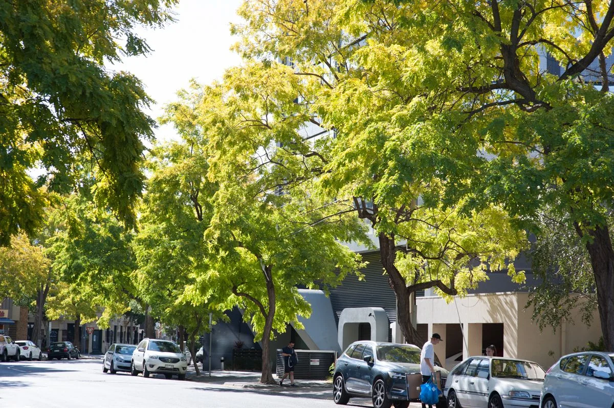 Additional image 10 of 103/159-161 Eastern Road, South Melbourne VIC 3205