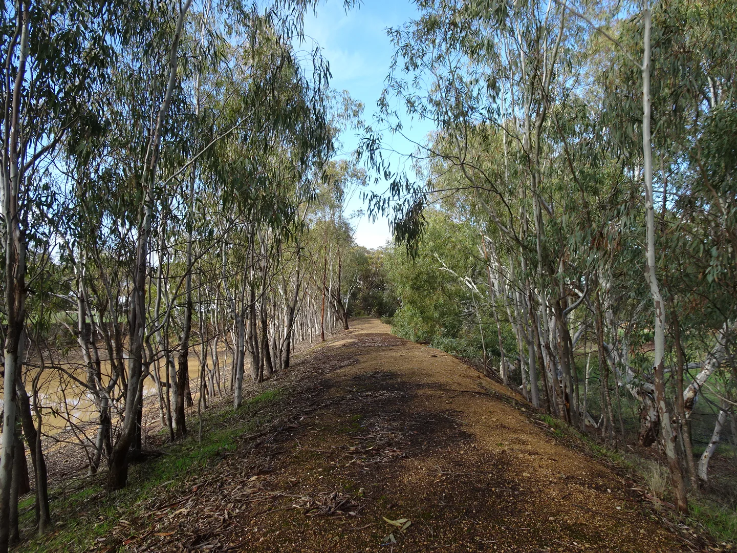 Additional image 9 of Shaddick Road, East Pingelly WA 6308