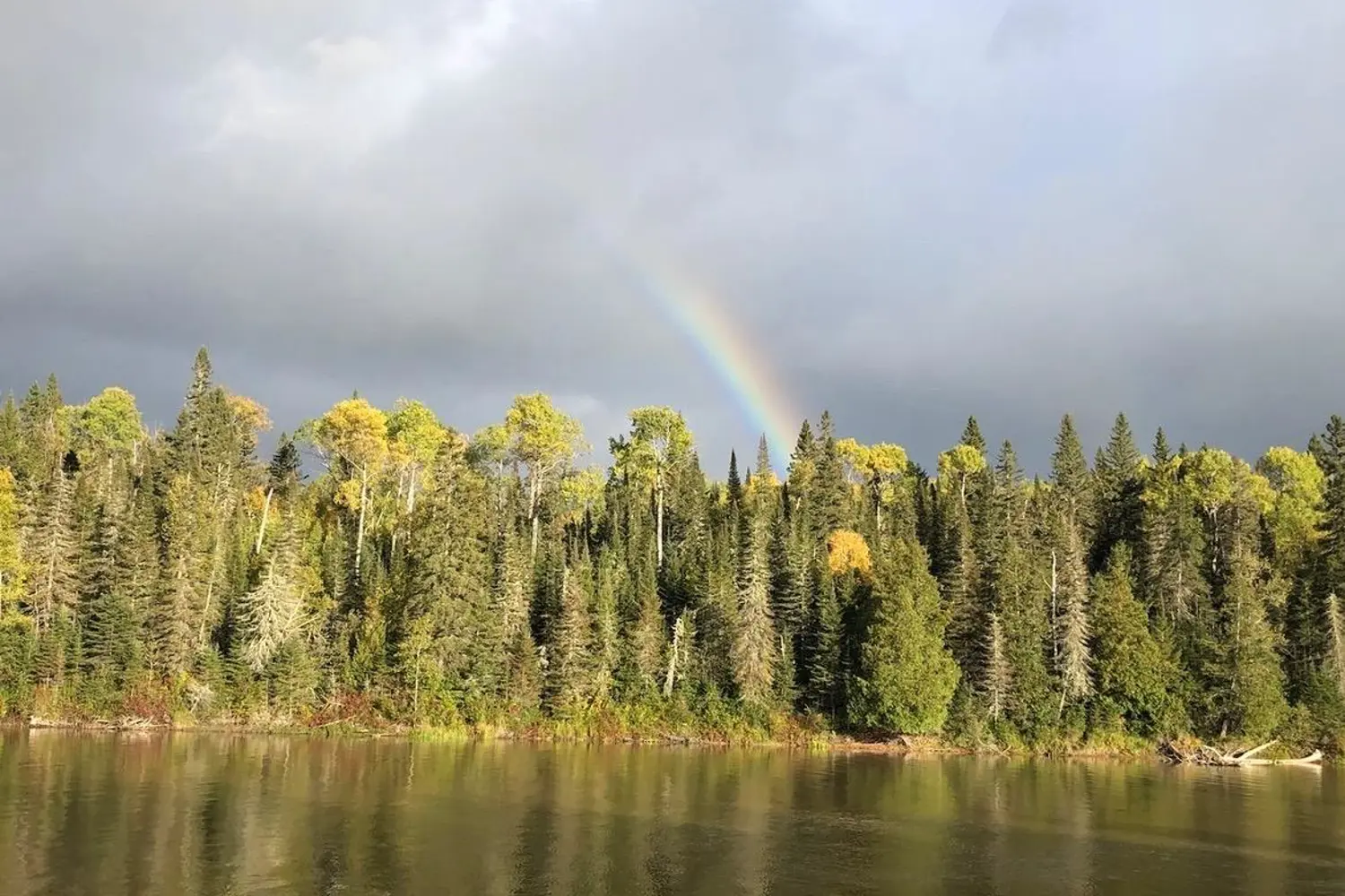 Additional image 4 of Pcl3840 N/A