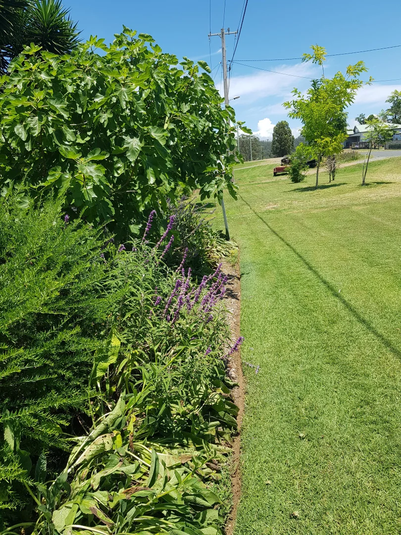 Additional image 4 of 3772 The Bucketts Way, Krambach NSW 2429