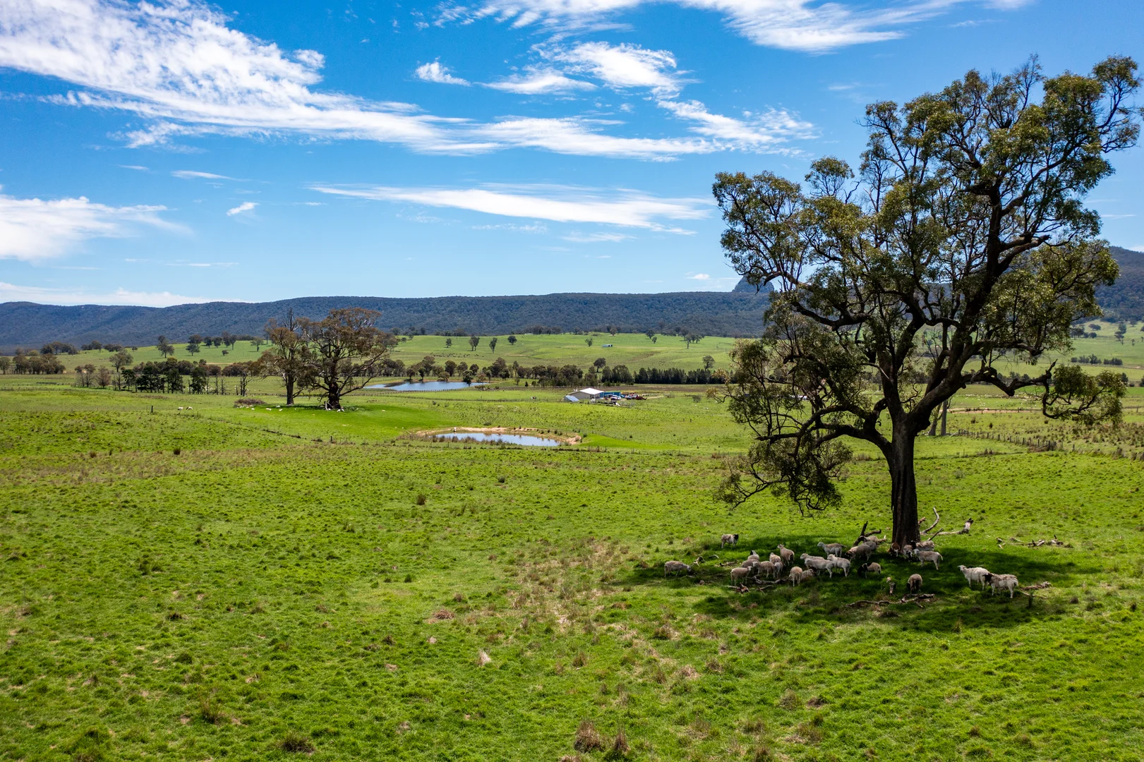 Additional image 5 of 22 //1235 Glen Alice Road, Rylstone NSW 2849