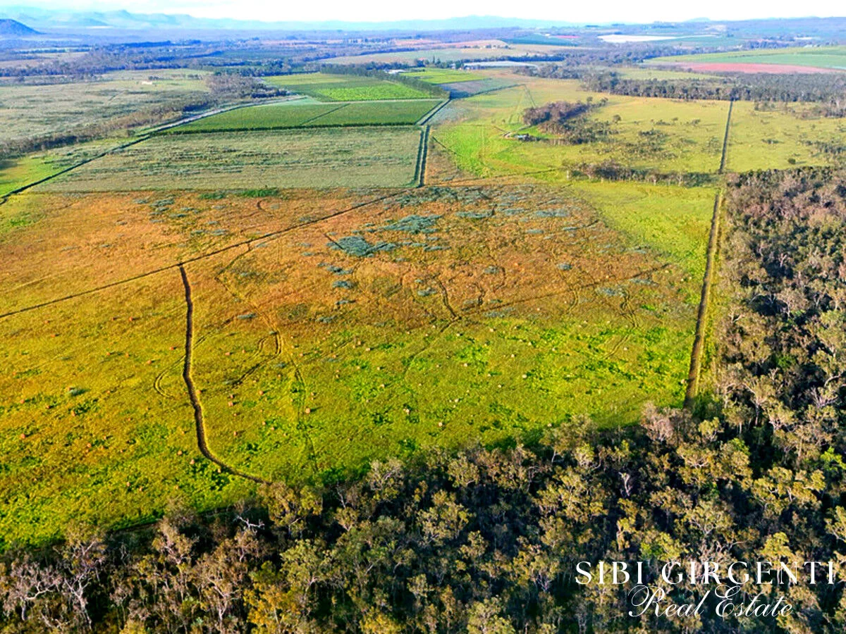 Additional image 11 of 326 Springs Road, Paddys Green QLD 4880