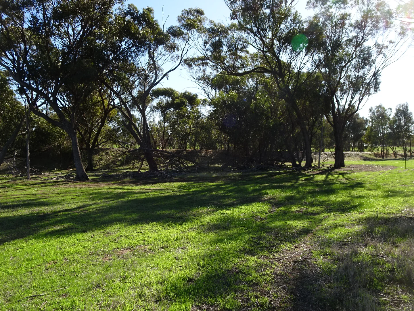 Additional image 15 of Shaddick Road, East Pingelly WA 6308