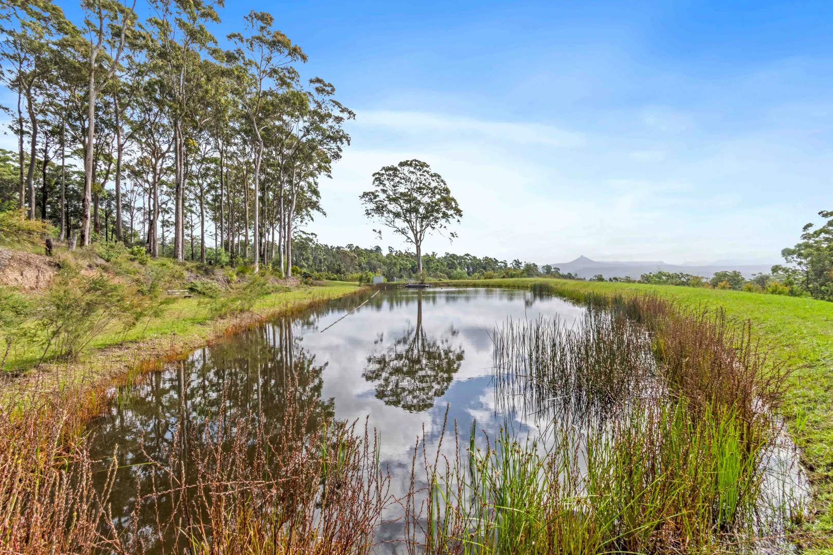 Additional image 21 of 282 Woodburn Road, Morton NSW 2538