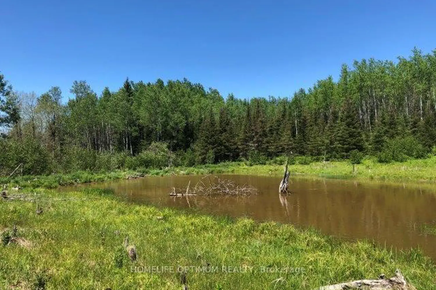 Additional image 3 of 38.24 Acres - Pcl 24640 N/A