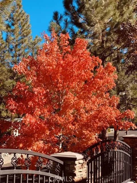 Additional image 119 of 5319 Desert View Dr, Wrightwood, CA 92397