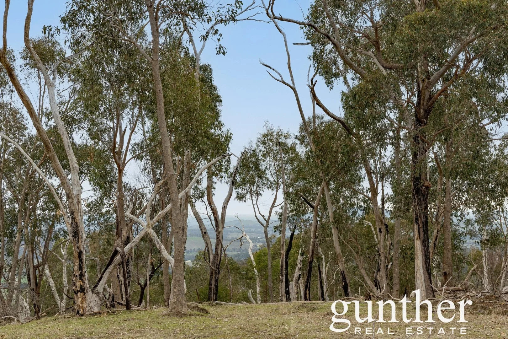 Additional image 4 of 188 Pauls Lane, Dixons Creek VIC 3775