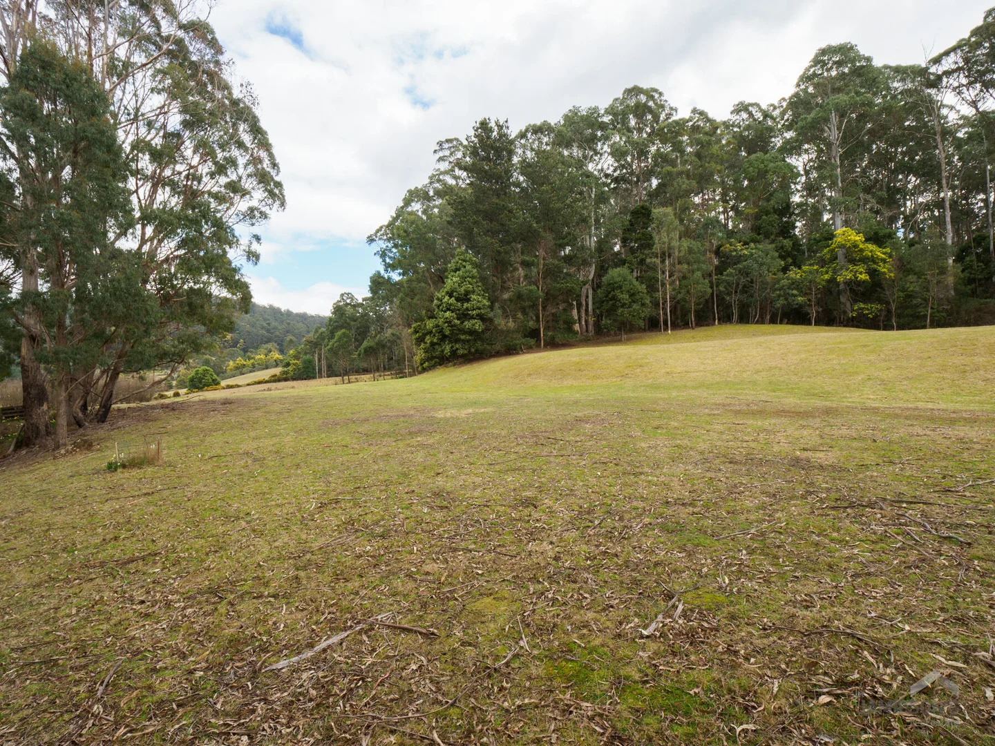 Additional image 14 of 493 Weetah Road, Weetah TAS 7304