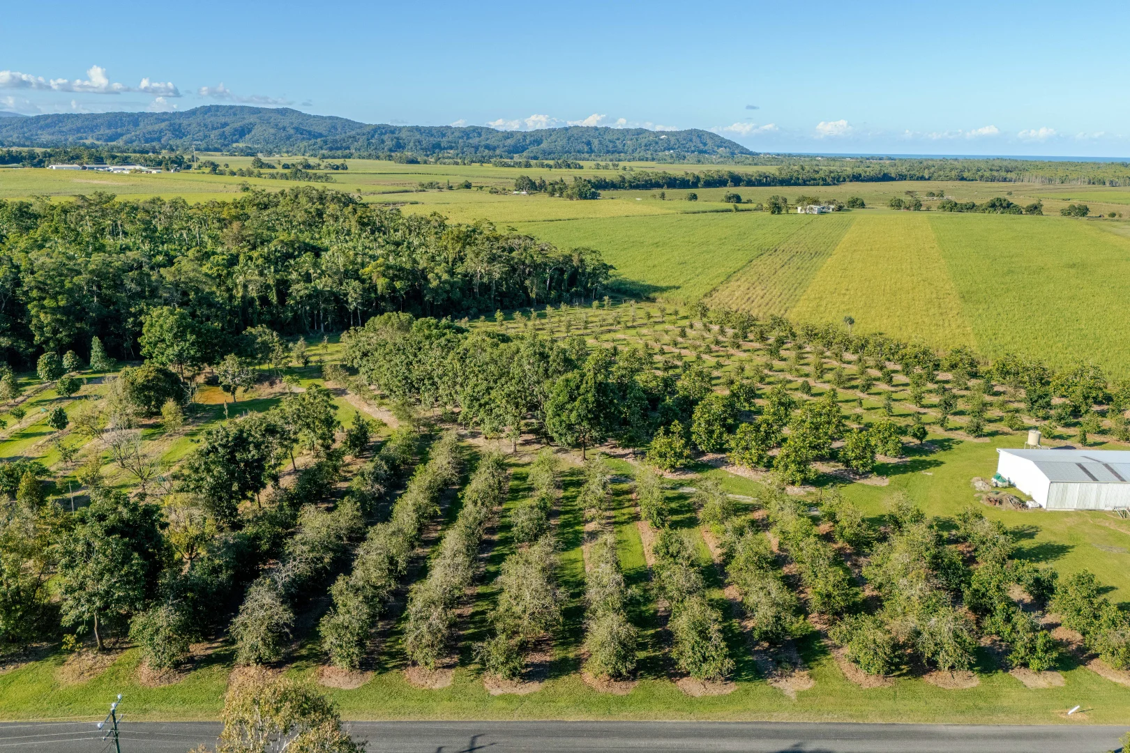 Additional image 26 of 89-125 Somerset Drive, Miallo QLD 4873