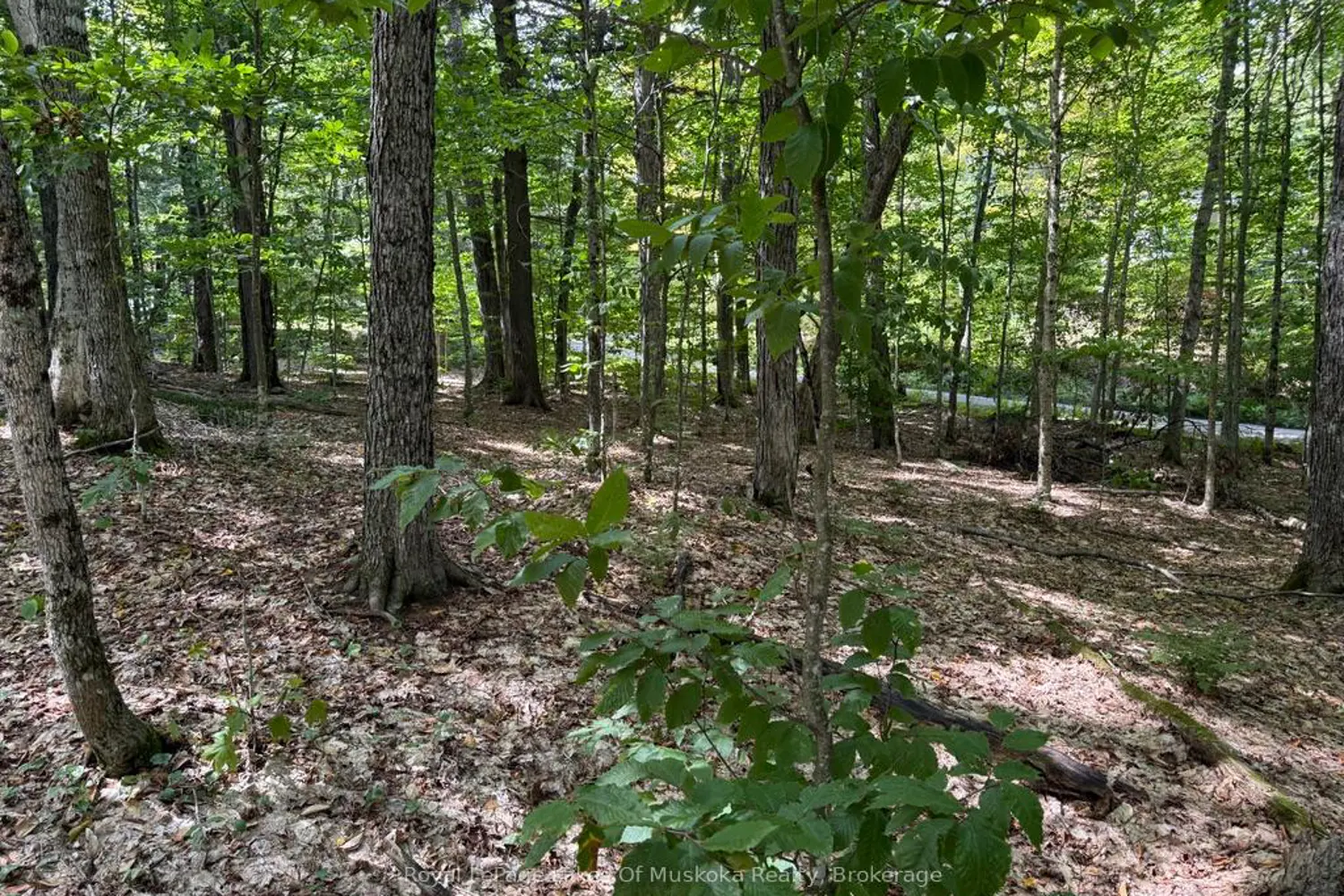 Additional image 8 of Lot 85 Brennan Circle